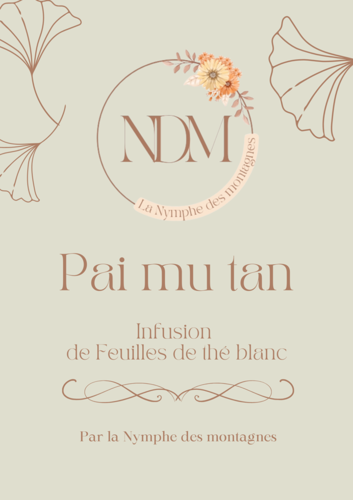 Infusion de feuilles de Thé blanc d'origine Pai Mu Tan 100g